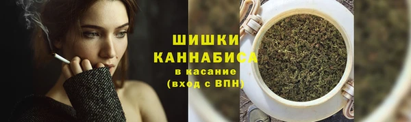 прущие крисы Каменногорск