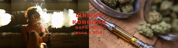 прущие крисы Каменногорск