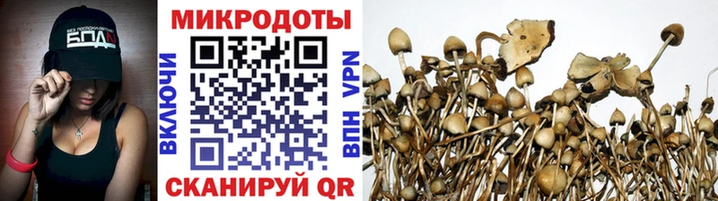 Галлюциногенные грибы прущие грибы  Купить где  Видное 